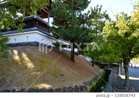 忍城44 忍城の鐘、土塁 138856743