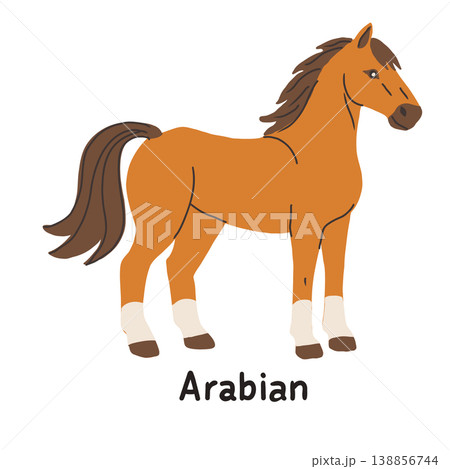 Hand drawn vector illustration of an Arabian horse on a white background Hand drawn vector illustration of an Arabian horse on a white background 138856744