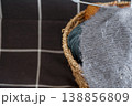 Basket holding vibrant yarn balls prepared for knitting and crafting projects 138856809