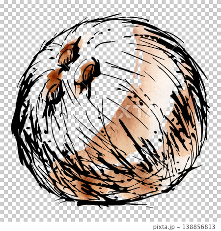 Whole tropical coconut fruit, textured brown hairy shell. Isolated illustration hand drawn in ink, watercolor. Tropical drink branding, island travel posters, exotic recipe books, summer party decor 138856813