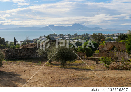 チュニジア　カルタゴ遺跡　ビュルサの丘からの眺め 138856867