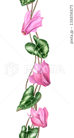 Pink cyclamen flower seamless vertical border on isolated background. Watercolor hand drawn floral pattern for botanical design. Romantic spring nature decoration for wedding invitation decor 138856875