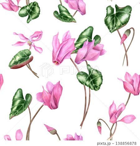 Watercolor seamless pattern with pink cyclamen flowers and green leaves. Botanical illustration of spring floral ornate on isolated background. Hand drawn painting for textile design, wallpaper print 138856878