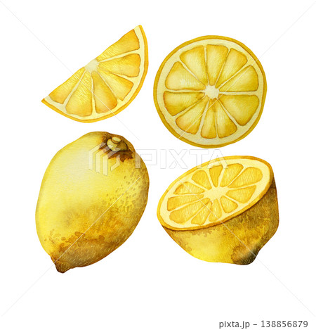 Lemon fruits watercolor illustration. Set of hand-drawn watercolor elements isolated on a white background. 138856879