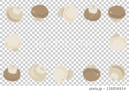 マッシュルームの長方形フレーム 138856914