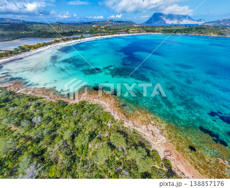 Aerial view of Cala Brandinchi shore in springtime 138857176