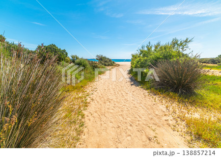 Path to the beach in Sardinia in springtime 138857214