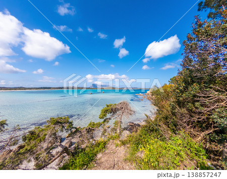 Turquoise water and plants in Lu Impostu beach 138857247