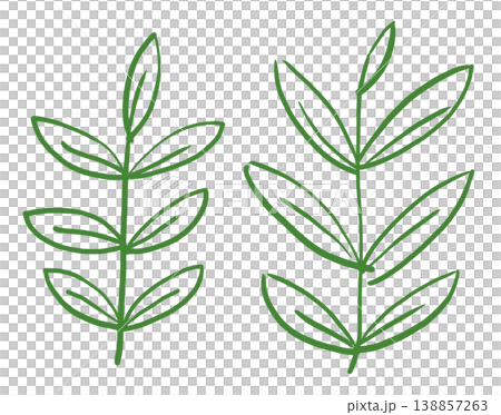 It is an illustration of a leaf. It is an illustration of a leaf. 138857263