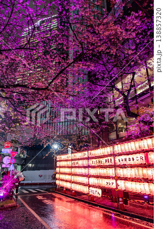夜桜　～東京・渋谷桜丘さくら坂・10～ 138857320