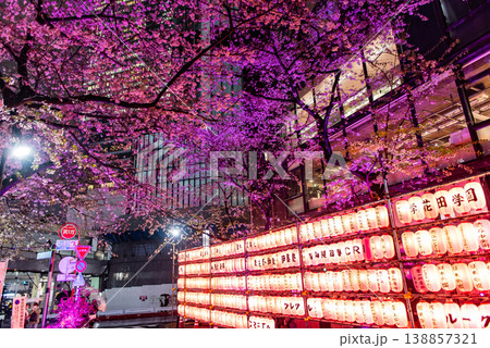 夜桜 ~東京・渋谷桜丘さくら坂・11~ 夜桜 ~東京・渋谷桜丘さくら坂・11~ 138857321