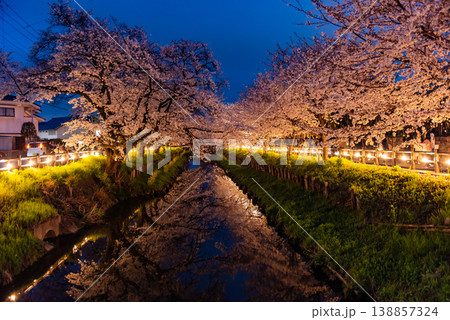 夜桜 ~埼玉・新河岸川・3~ 夜桜 ~埼玉・新河岸川・3~ 138857324