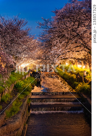 夜桜 ~埼玉・新河岸川・8~ 夜桜 ~埼玉・新河岸川・8~ 138857329