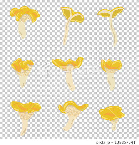 手繪雞油菌變種插畫素材 138857341