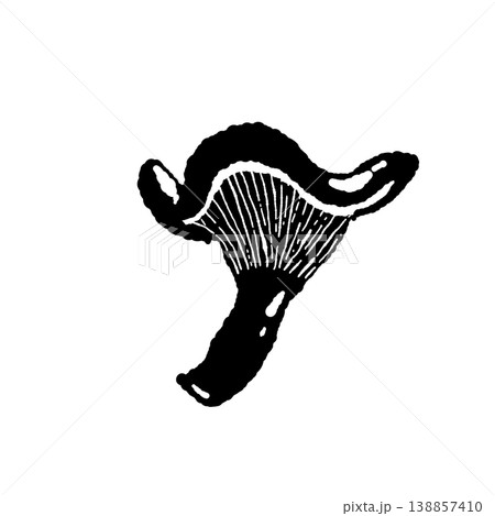 アンズタケ(単体・斜め・ヒダ)のモノクロ手描きイラスト素材 アンズタケ(単体・斜め・ヒダ)のモノクロ手描きイラスト素材 138857410