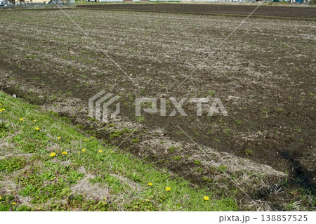田んぼ 土作り 138857525