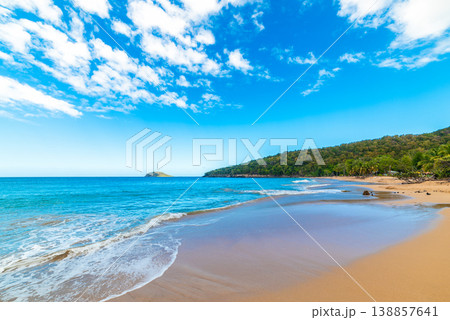 Turquoise sea and golden sand in La Perle beach in Guadeloupe Turquoise sea and golden sand in La Perle beach in Guadeloupe 138857641