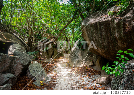 Sand path in the forest surrounded by granite boulders and tropical vegetation 138857739