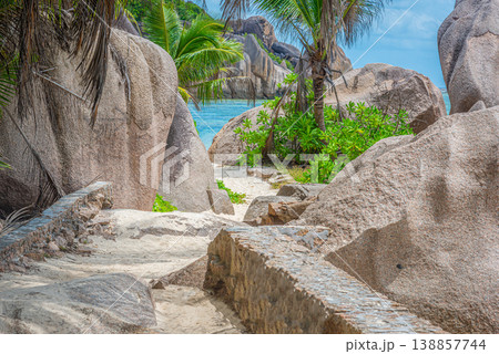 Path to a tropical beach 138857744