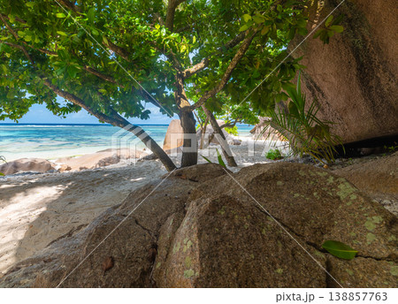 Rocks, sand and coral reef in a tropical beach 138857763