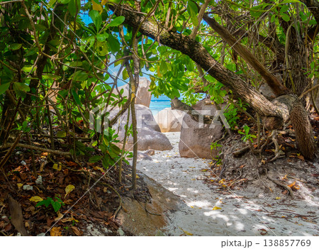 Path to the beach in a tropical island Path to the beach in a tropical island 138857769