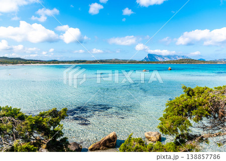 Green plants and turquoise water in Lu Impostu beach 138857786
