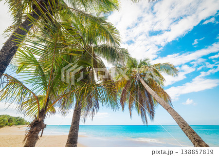 Tropical beach with palms and blue sea 138857819