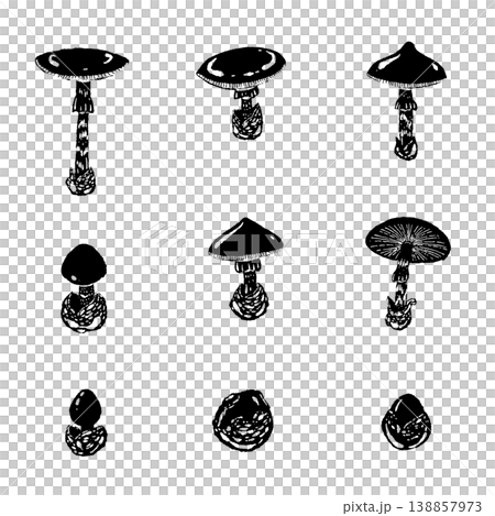 Monochrome hand-drawn illustration set of variations of the Amanita caesarea mushroom. 138857973