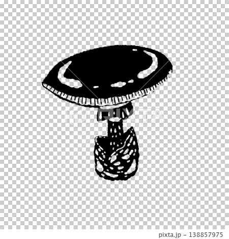 Monochrome hand-drawn illustration of a single Amanita caesarea (flat cap). Monochrome hand-drawn illustration of a single Amanita caesarea (flat cap). 138857975