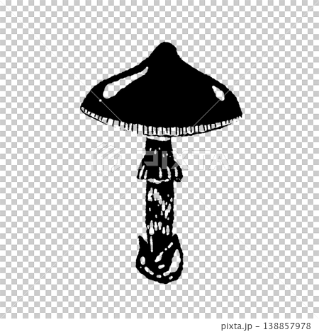 Monochrome hand-drawn illustration of a single Amanita caesarea (round cap). 138857978