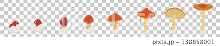 以 Amanita caesarea 蘑菇的生長階段為主題的線條裝飾/裝飾邊框插圖素材。 以 Amanita caesarea 蘑菇的生長階段為主題的線條裝飾/裝飾邊框插圖素材。 138858001