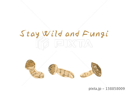 松茸（横倒し・複数）の横型メニュー・カードテンプレート 138858009