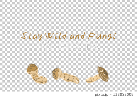 松茸（横倒し・複数）の横型メニュー・カードテンプレート 138858009