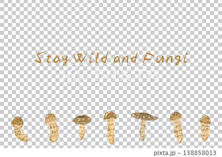 Horizontal menu/card template featuring multiple Matsutake mushrooms. 138858013