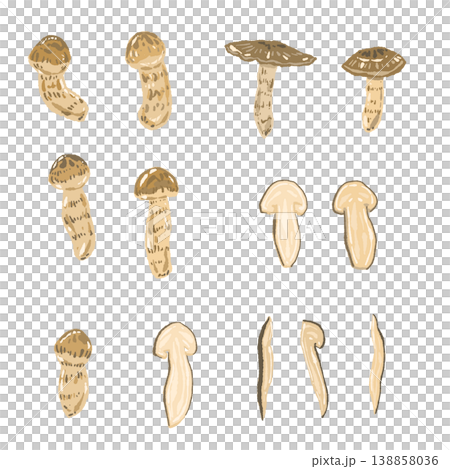 Hand-drawn illustration set of variations on matsutake mushrooms 138858036