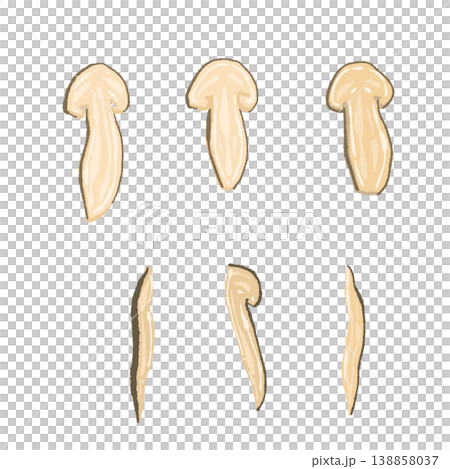 Hand-drawn illustration material of a variation set of sliced matsutake mushrooms 138858037