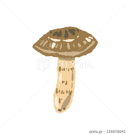 松茸（単体・中開き）の手描きイラスト素材 138858041