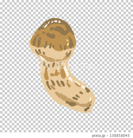 Hand-drawn illustrations of matsutake mushrooms (single, curved, different angles) 138858043