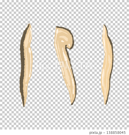 Hand-drawn illustration of matsutake mushrooms (sliced lengthwise) Hand-drawn illustration of matsutake mushrooms (sliced lengthwise) 138858045