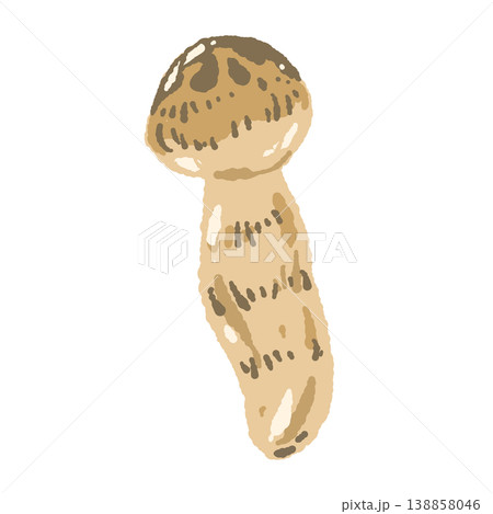 松茸（単体・斜め）の手描きイラスト素材 138858046