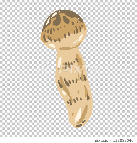 松茸（単体・斜め）の手描きイラスト素材 138858046