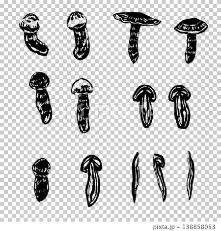 A set of monochrome hand-drawn illustrations of variations on matsutake mushrooms. A set of monochrome hand-drawn illustrations of variations on matsutake mushrooms. 138858053