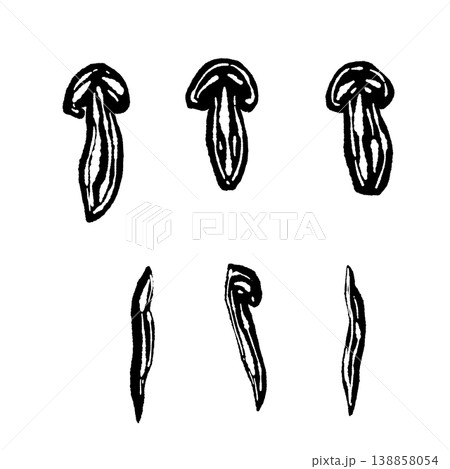 スライス松茸のバリエーションセットのモノクロ手描きイラスト素材 138858054