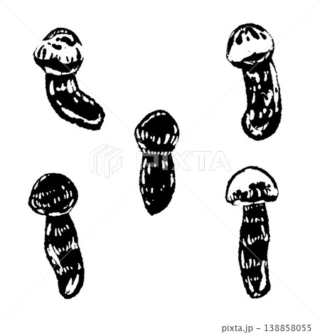 松茸（散らし配置）のモノクロ手描きイラスト素材 138858055