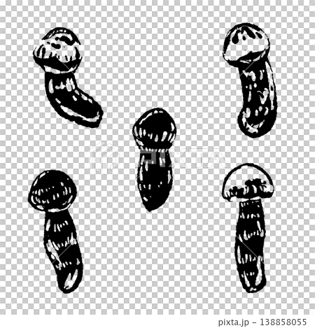 Black and white hand-drawn illustration material of matsutake mushrooms (scattered arrangement) 138858055
