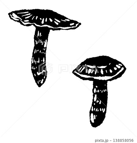2本の松茸（ペア）のモノクロ手描きイラスト素材 138858056
