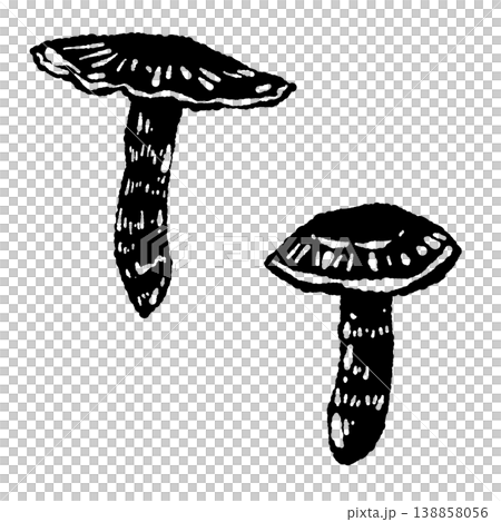 2本の松茸（ペア）のモノクロ手描きイラスト素材 138858056