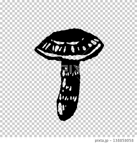 松茸(単体・中開き)のモノクロ手描きイラスト素材 松茸(単体・中開き)のモノクロ手描きイラスト素材 138858058