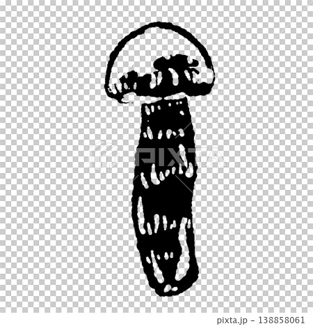 松茸(単体・まっすぐ)のモノクロ手描きイラスト素材 松茸(単体・まっすぐ)のモノクロ手描きイラスト素材 138858061