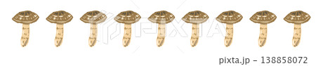 松茸（斜め配置・左向き）のライン装飾・飾り罫イラスト素材 138858072